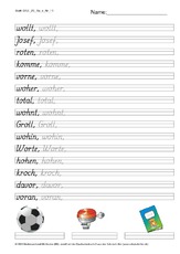 DSS_2S_Bu_o_Nr_11.pdf